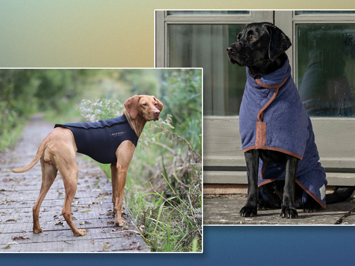 Fits hot sale dog coat
